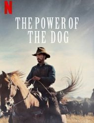 The Power of the Dog